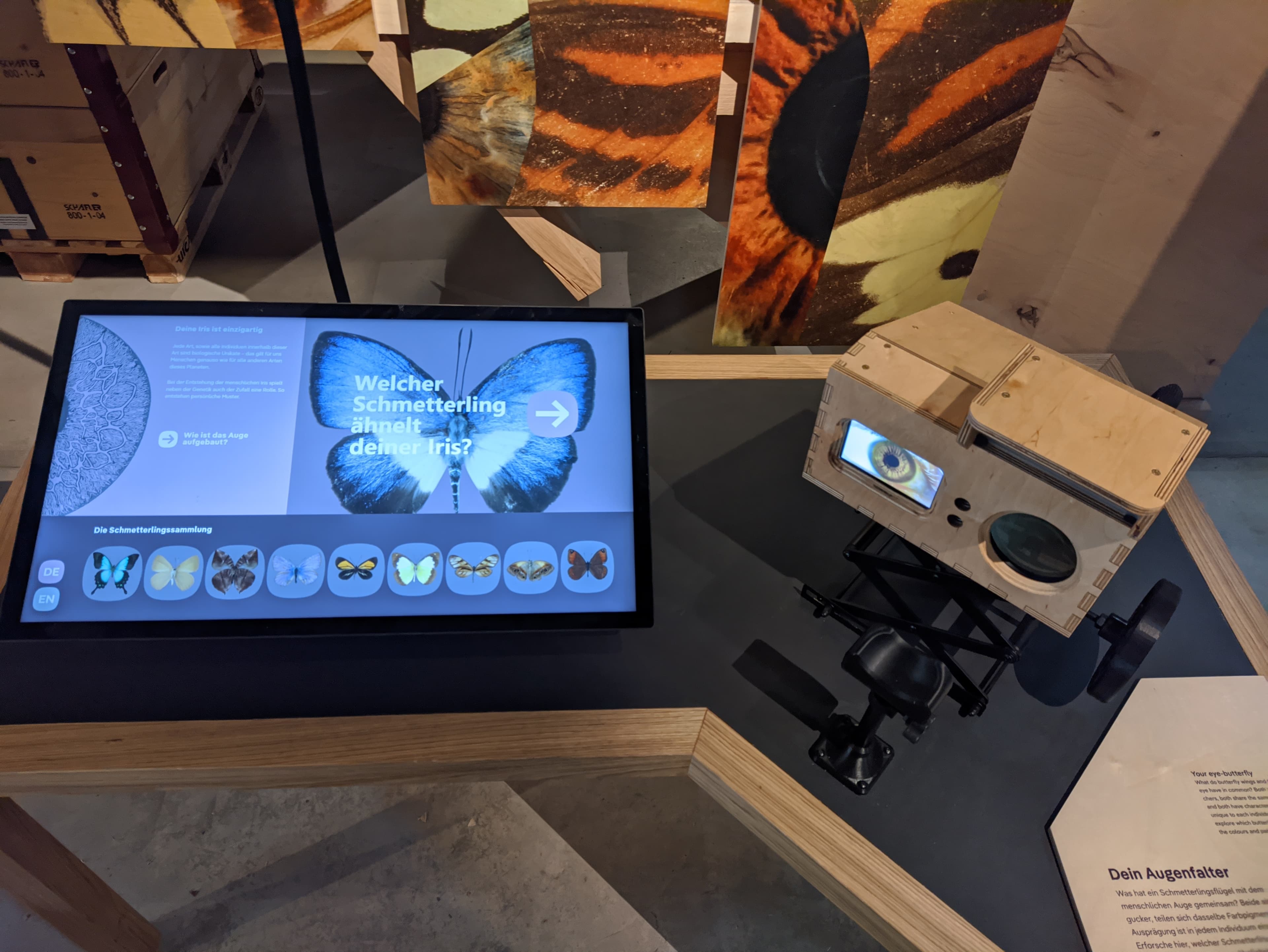 view of the installation