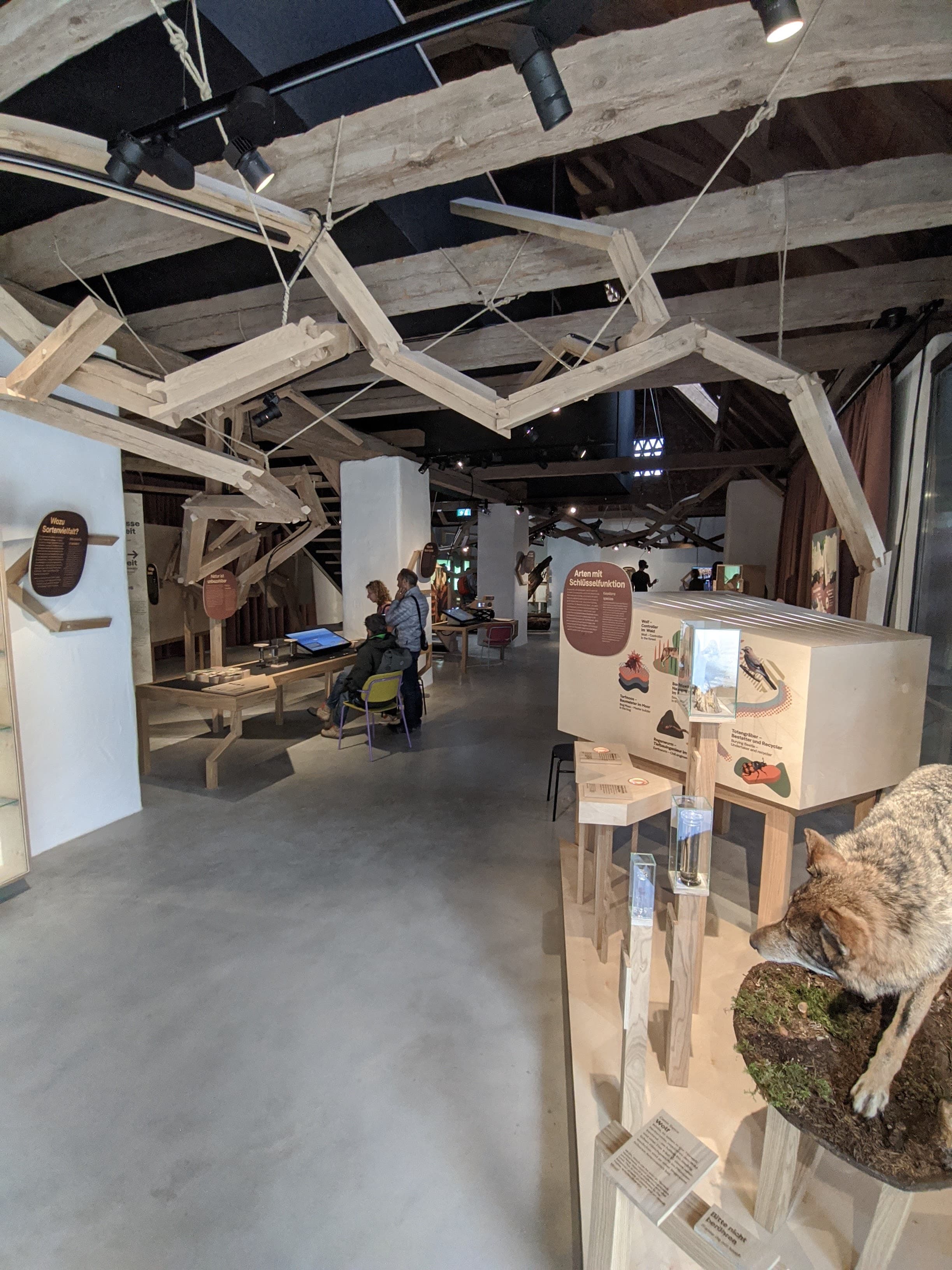 interior museum distance view